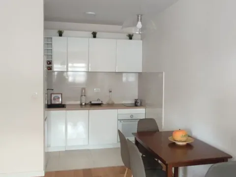 Izdavanje, jednosoban stan, 50m², Central Point, Podgorica - image 8