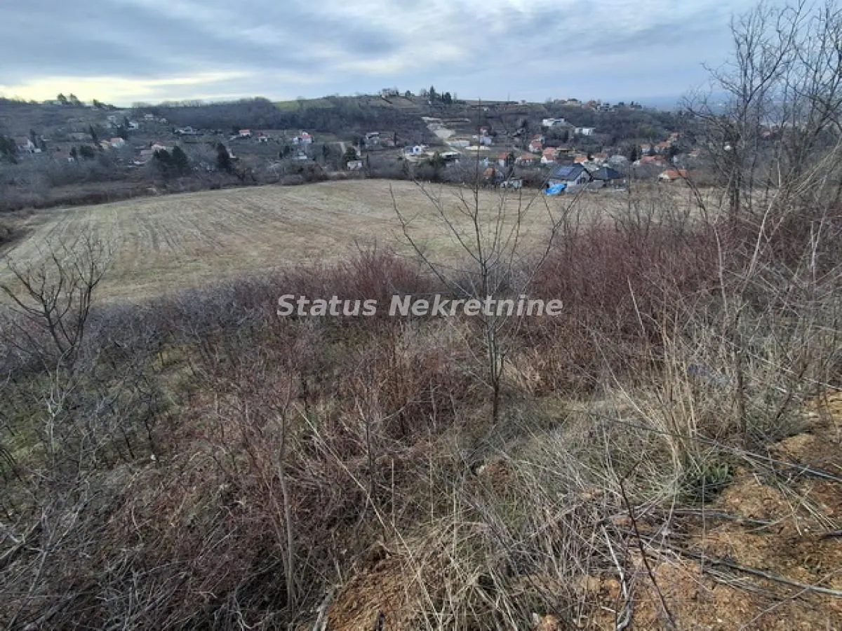 Prodaja, plac, 14994m², Ledinci, Petrovaradin