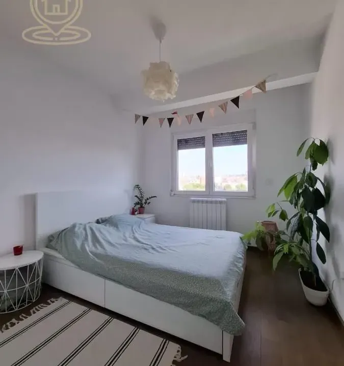 Izdavanje, dvosoban stan, 40m², Dušanovac, Voždovac Sve Podlokacije