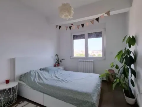 Izdavanje, dvosoban stan, 40m², Dušanovac, Voždovac Sve Podlokacije - image 1