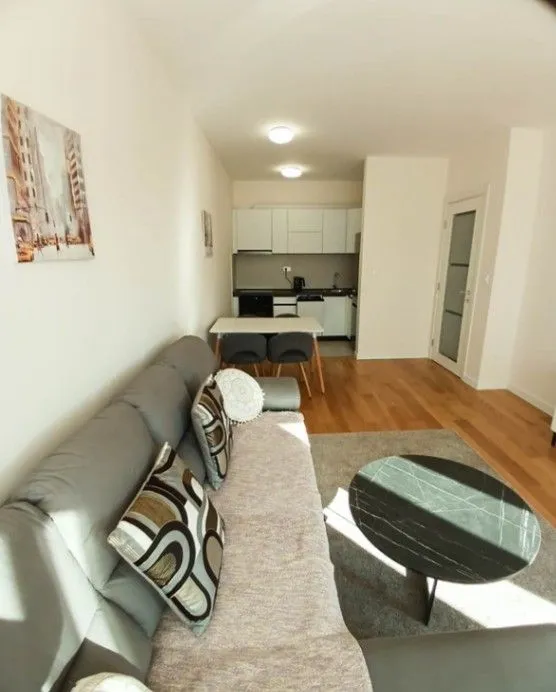 Prodaja, jednosoban stan, 49m², Central Point, Podgorica