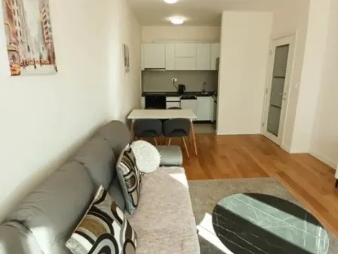 One Bedroom Apartment for Sale, 49m2, Central Point, Podgorica One Bedroom Apartment for Sale, 49m2, Central Point, Podgorica