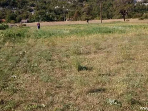 Sale, land lot, 8500m², Grahovo, Nikšić - image 3