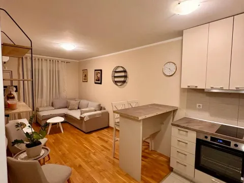 Izdavanje, jednosoban stan, 33m², Zabjelo, Podgorica - image 2