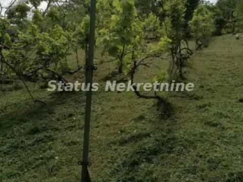 Prodaja, kuća, 49m², Beočin, Srbija - image 10