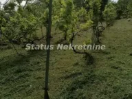 Prodaja, kuća, 49m², Beočin, Srbija - image 10