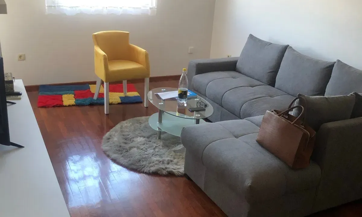 Izdavanje, jednosoban stan, 45m², Stari Aerodrom, Podgorica