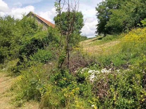 Prodaja, plac, 77200m², Velimlje, Nikšić - image 5