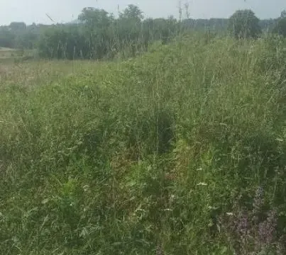 Prodaja, plac, 8600m², Voždovac Sve Podlokacije, Beograd - image 2