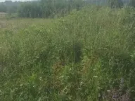 Prodaja, plac, 86m², Voždovac Sve Podlokacije, Beograd - image 2