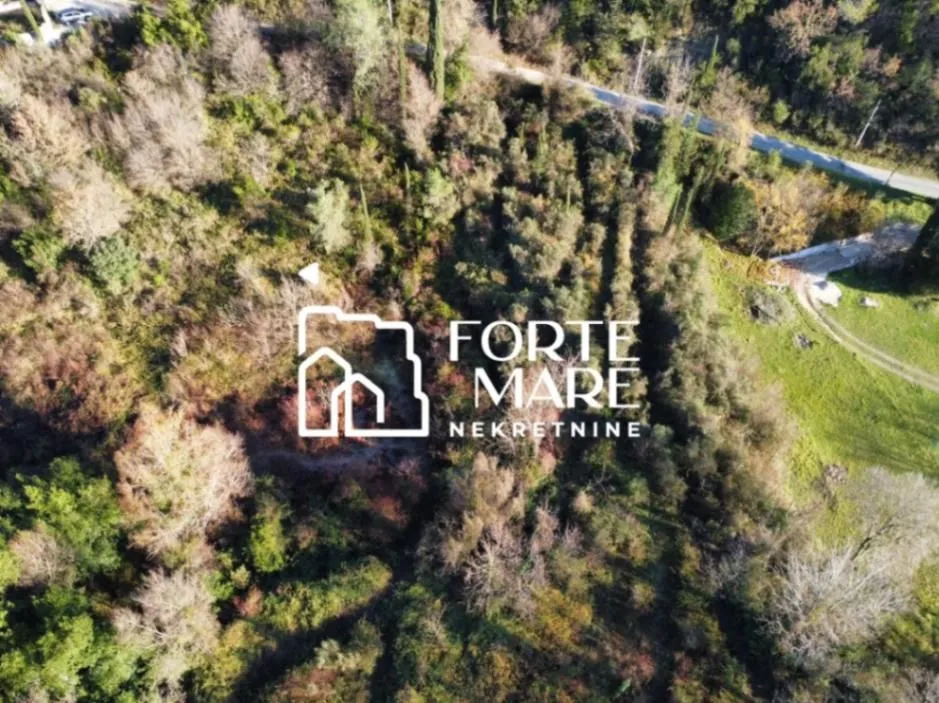 Prodaja, plac, 4514m², Sutorina, Herceg Novi