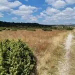 Prodaja, plac, 35832m², Žabljak, Crna Gora - image 3