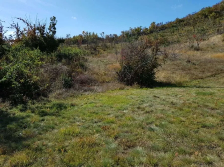 Prodaja, plac, 529000m², Grahovac, Nikšić
