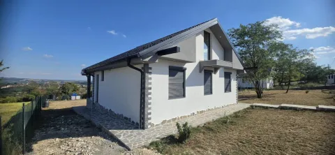 Eksterijer prizemne kuće sa uređenim dvorištem i ogradom. - image 7