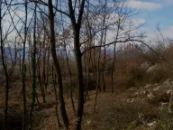 Sale, land lot, 9500m², Piperi, Podgorica - image 4