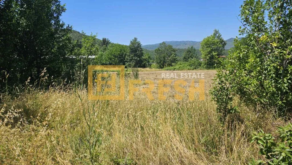 Prodaja, plac, 7430m², Danilovgrad, Crna Gora