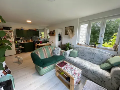 Sale, house, 55m², Sremska Kamenica, Petrovaradin - image 2