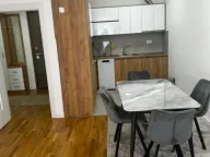 Izdavanje, jednosoban stan, 48m², Zabjelo, Podgorica - image 3