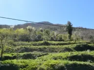 Prodaja, kuća, 162m², Kotor, Crna Gora - image 3