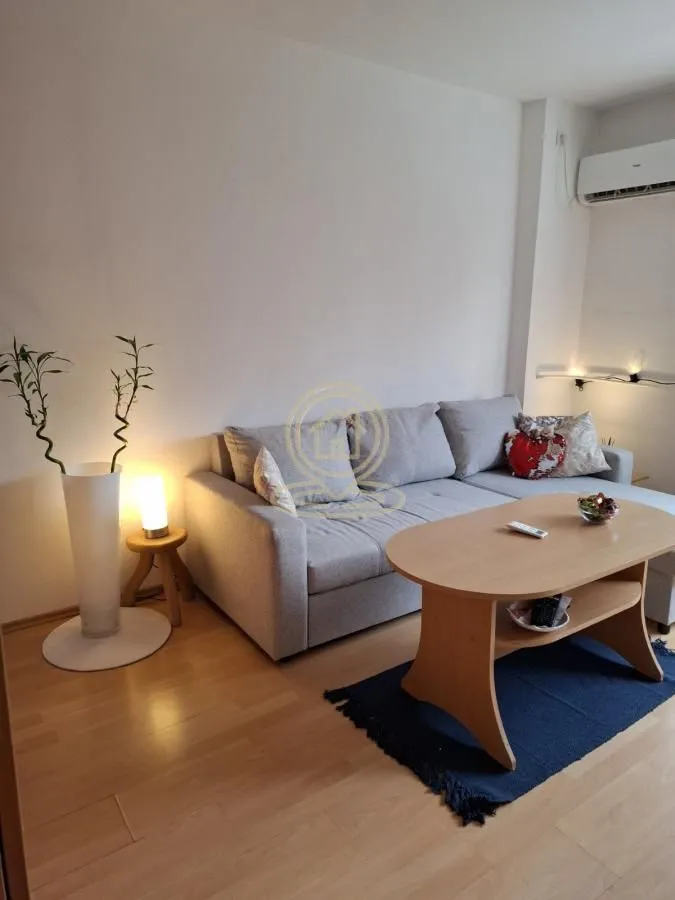 Rent, one bedroom apartment, 32m², Novi Beograd Sve Podlokacije, Beograd