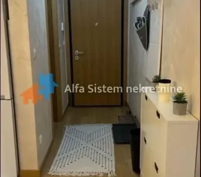Izdavanje, stan, 41m², Vračar Sve Podlokacije, Beograd - image 8