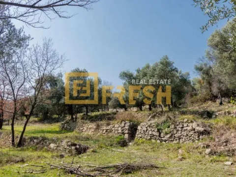 Prodaja, plac, 7125m², Herceg Novi, Crna Gora - image 3