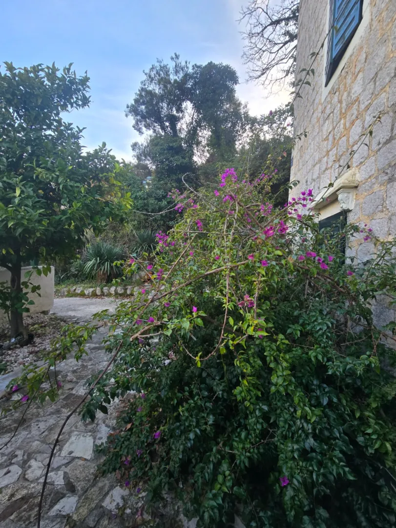 Prodaja, kuća, 180m², Kamenari, Herceg Novi