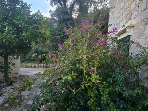 Prodaja, kuća, 180m², Kamenari, Herceg Novi - image 11