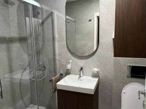 Izdavanje, jednosoban stan, 43m², Central Point, Podgorica - image 9