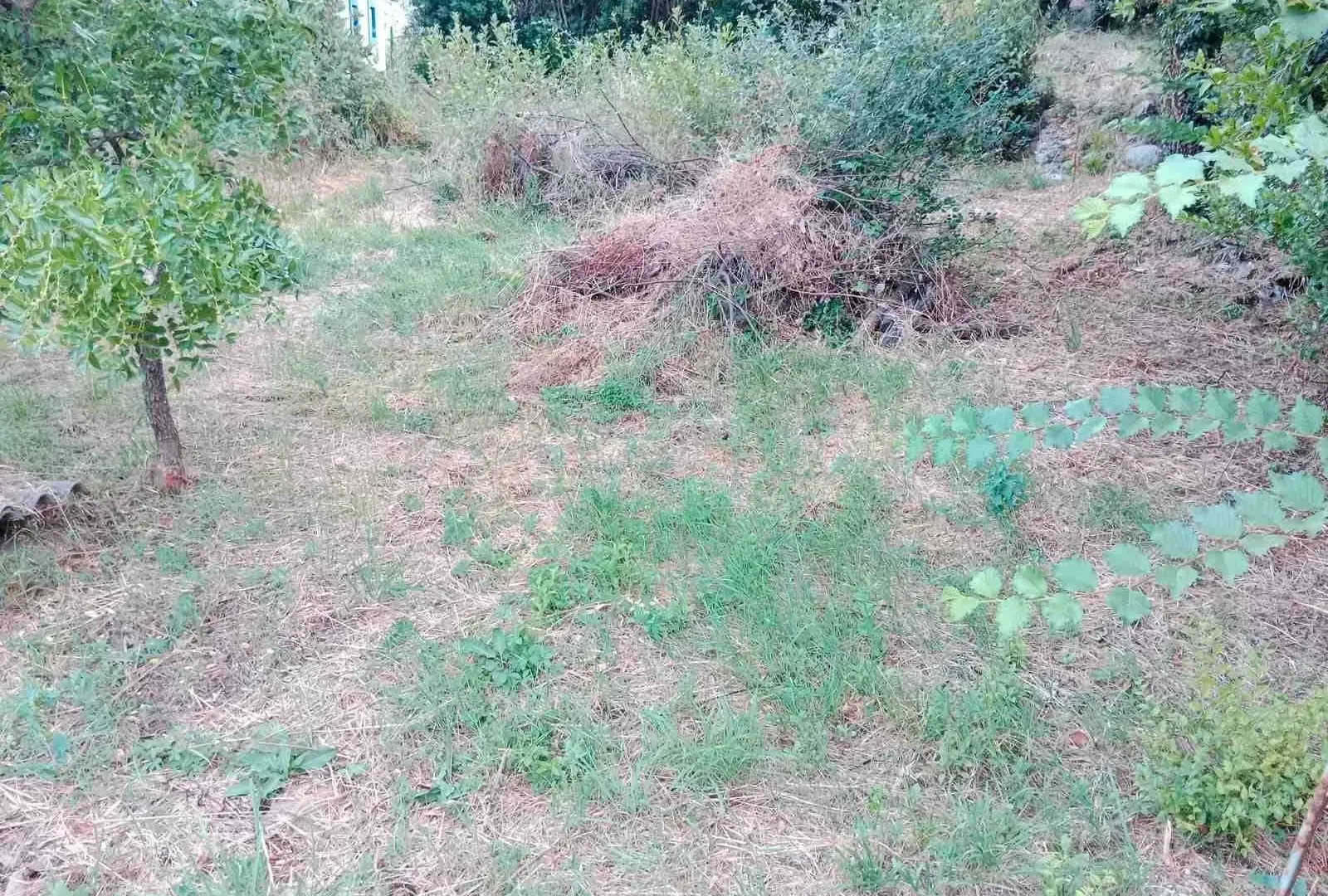 Prodaja, plac, 900m², Kamenari, Herceg Novi
