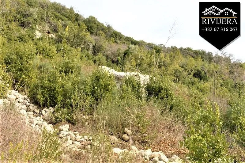 Prodaja, plac, 12300m², Topla, Herceg Novi