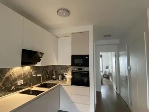 Rent, two bedroom apartment, 42m², Južni Bulevar, Vračar Sve Podlokacije - image 4