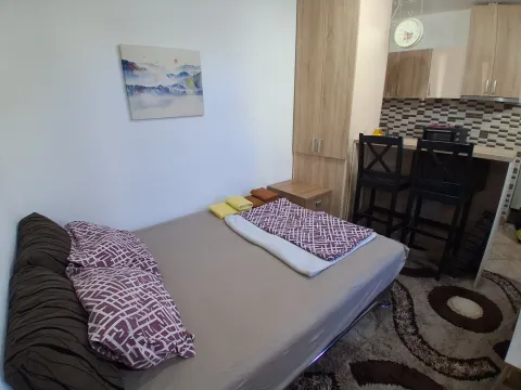 Daily-rent, one bedroom apartment, 25m², Blok 9, Podgorica - image 5