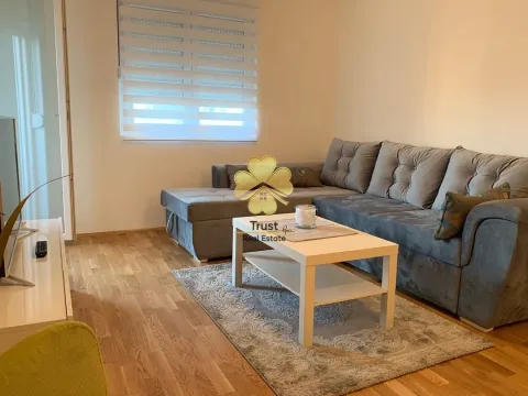 Izdavanje, jednosoban stan, 50m², Stari Aerodrom, Podgorica