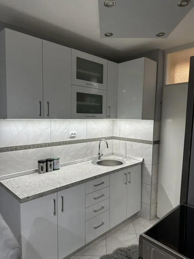 Izdavanje, dvosoban stan, 55m², Bulevar, Niš