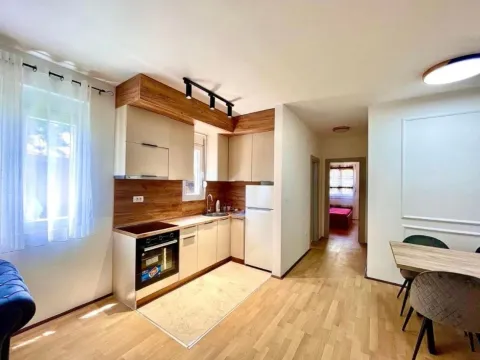 Rent, one bedroom apartment, 45m², Krivi Most, Podgorica - image 6