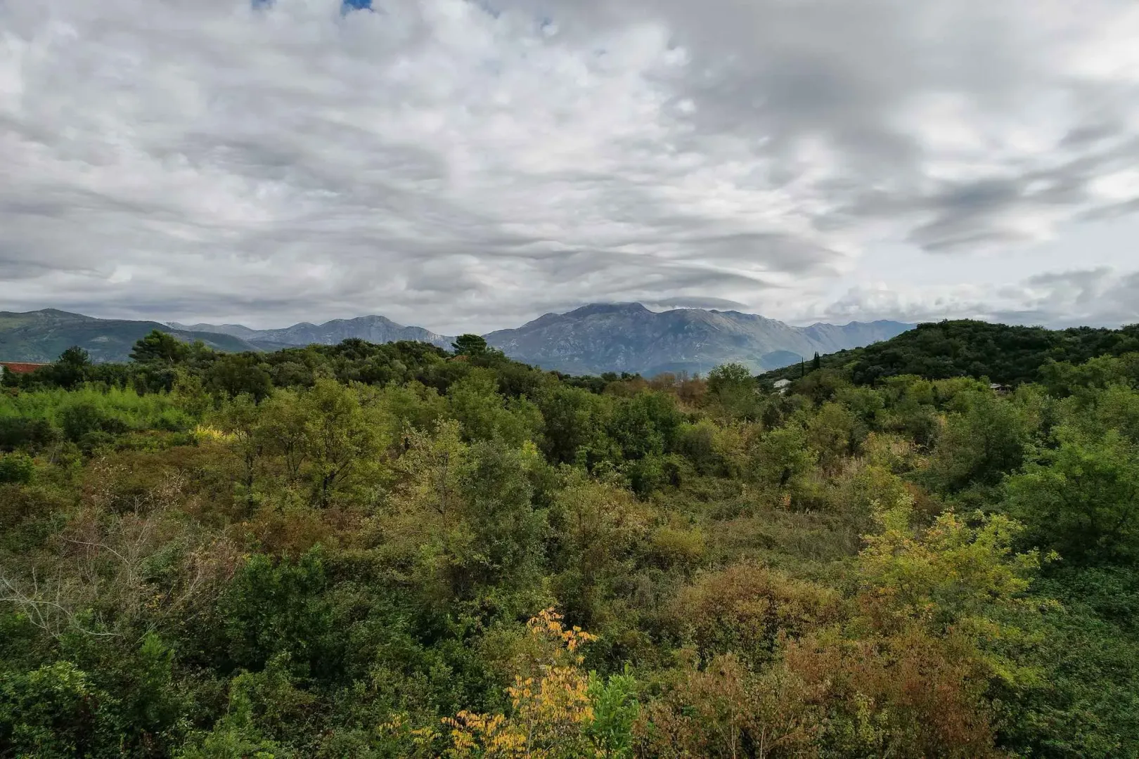 Pogled na zelenu prirodu i planine u daljini.