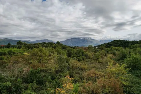 Pogled na zelenu prirodu i planine u daljini. - image 6