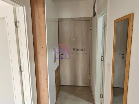 Rent, one bedroom apartment, 41m², Stari Aerodrom, Podgorica - image 4