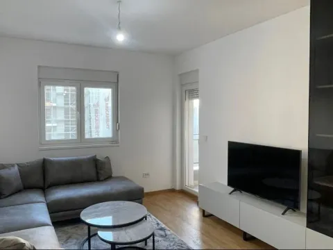 Izdavanje, jednosoban stan, 48m², Stari Aerodrom, Podgorica - image 3