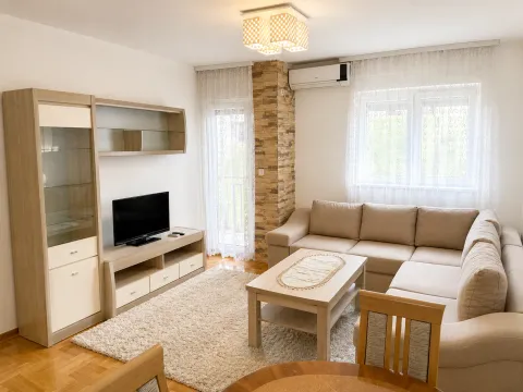 Rent, one bedroom apartment, 45m², Stari Aerodrom, Podgorica - image 2