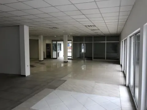 Izdavanje, poslovni prostor, 280m², Altina, Beograd - image 6