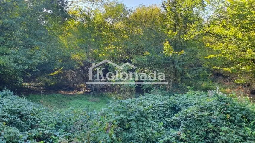 Sale, land lot, 5110m², Nemenikuće, Sopot