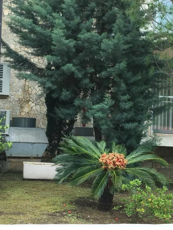 Prodaja, jednosoban stan, 47m², Pržno, Budva