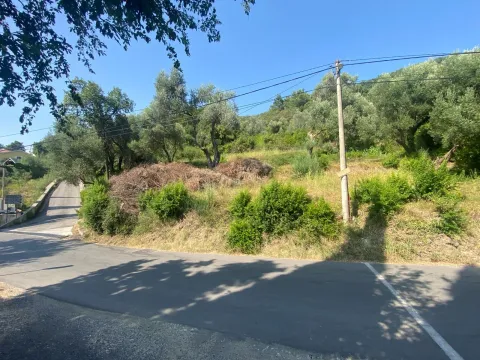 Prodaja, plac, 872m², Kavač, Kotor - image 4