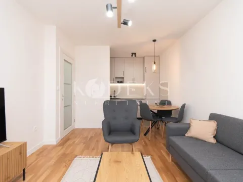 Rent, one bedroom apartment, 39m², Zabjelo, Podgorica - image 9