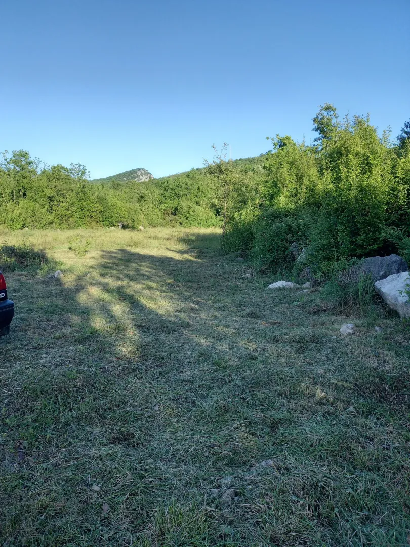 Pogled na zeleni plac sa travnjakom i rastinjem.