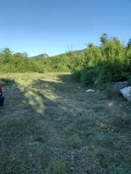 Pogled na zeleni plac sa travnjakom i rastinjem. - image 8