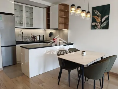 Izdavanje, dvosoban stan, 60m², Novi Beograd Sve Podlokacije, Beograd - image 4