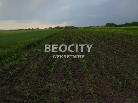 Sale, land lot, 29m², Ovča, Palilula Sve Podlokacije - image 12